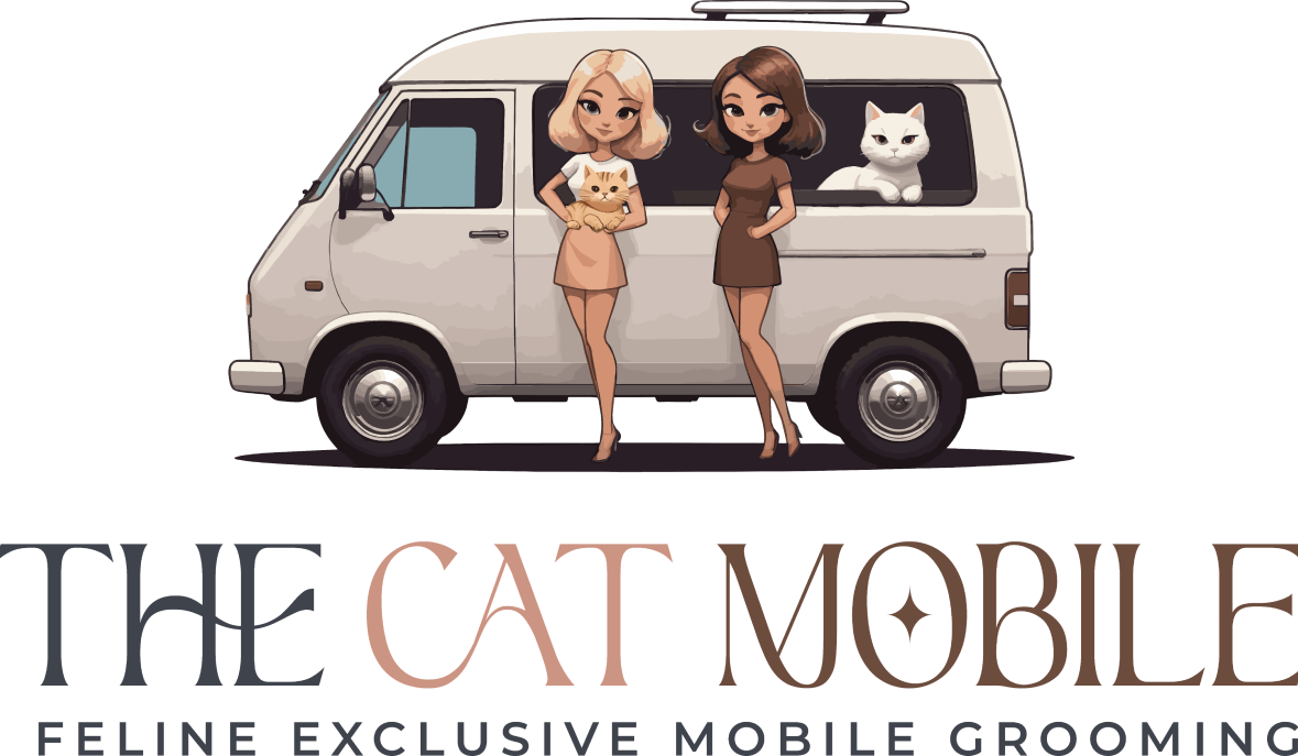 The Cat Mobile Cat Grooming Hunter Valley Newcastle Wash Clip Maitland Cessnock Mereweather